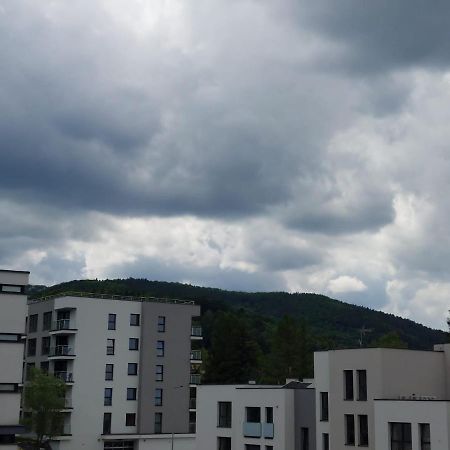 Apartament Pod Szyndzielnia, Debowiec Bielsko-Biała Ngoại thất bức ảnh