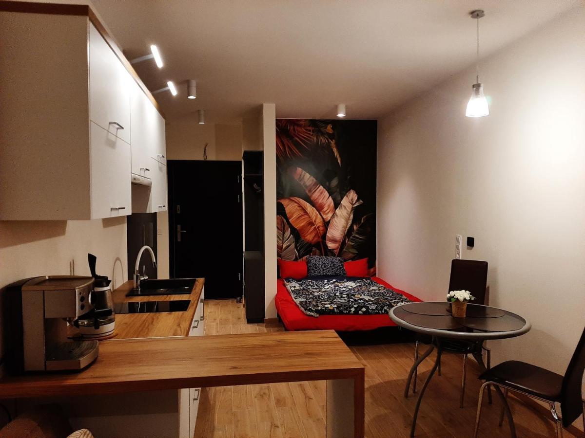 Apartament Pod Szyndzielnia, Debowiec Bielsko-Biała Ngoại thất bức ảnh