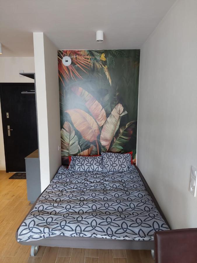Apartament Pod Szyndzielnia, Debowiec Bielsko-Biała Ngoại thất bức ảnh